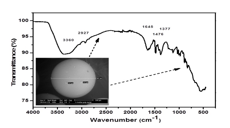 Gamma spectrometry technique application to the 60Co sorption onto IRN-77 resin from radioactive wastewater: Equilibrium, Kinetic and Thermodynamic investigations