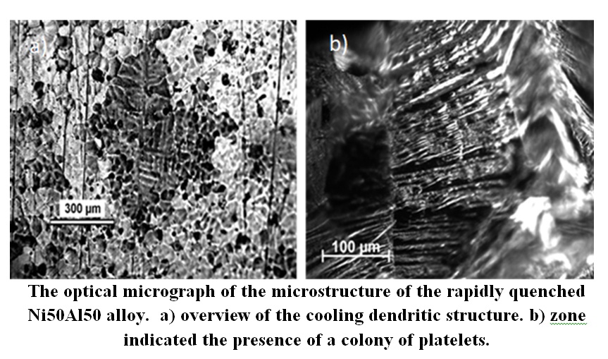 Phase formation and structure in rapidly quenched Ni50Al50 alloy