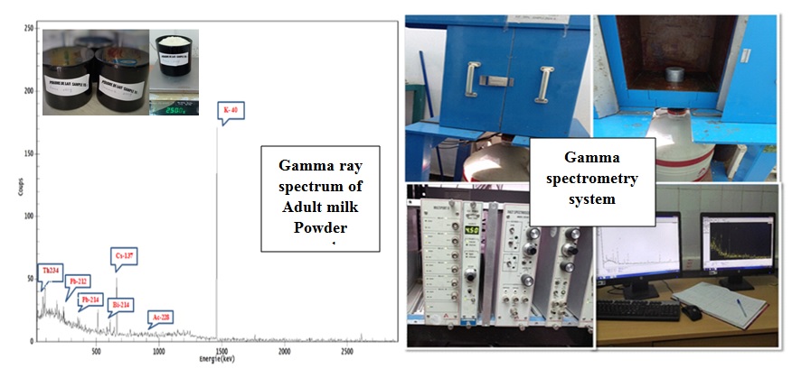 Measurement of radioactivity levels in powdered milk consumed in Algeria and estimation of annual effective doses