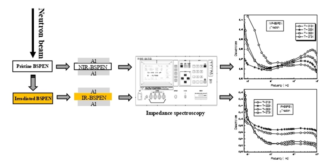 Neutron irradiation effect on dielectic loss of bi-stretched polyethylene naphthalate