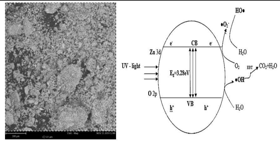 ZnO nanoparticles for optmized photocatalytic