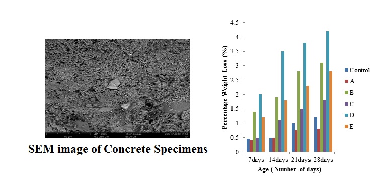 SEM image of Concrete Specimens