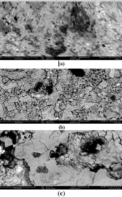 Design, construction and performance evaluation of a cucumber slicing machine