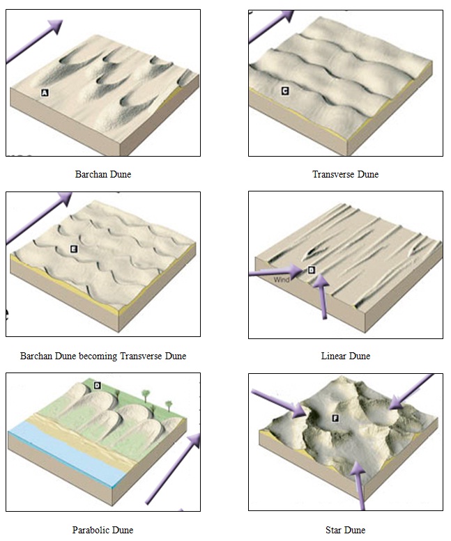 Sand Dunes Reviewing: Wind Effect and Dunes Classification