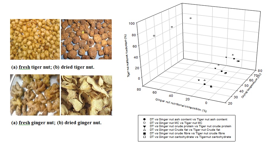 Effect of selected oven drying temperatures on the quality of Tiger Nut (Cyperus Esculentus) and Ginger Nut (Zingiber Officinale).