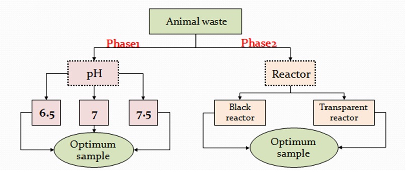 Improving biogas production from animal manure by batch anaerobic digestion