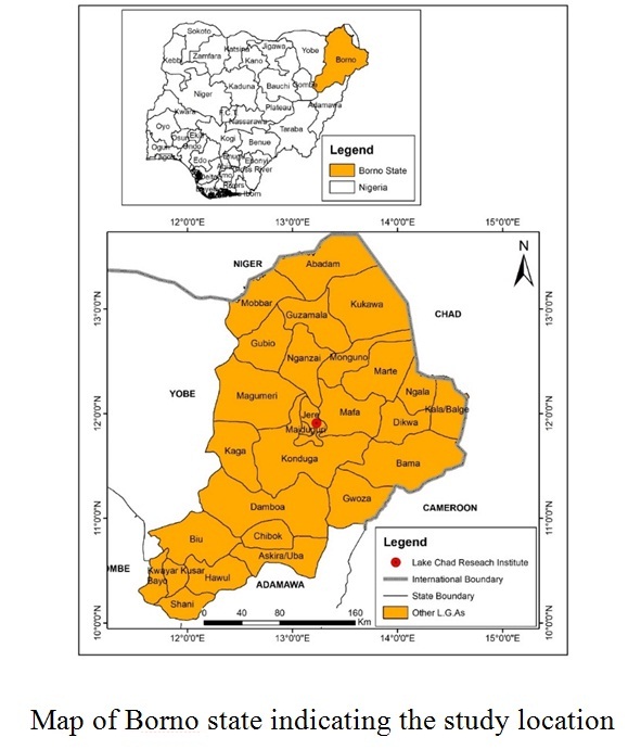 Local sensitivity analysis of the AquaCrop model outputs for wheat under Semi-Arid 