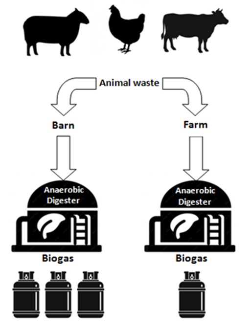 Comparative study of biogas yield from animal manure in barn and farm