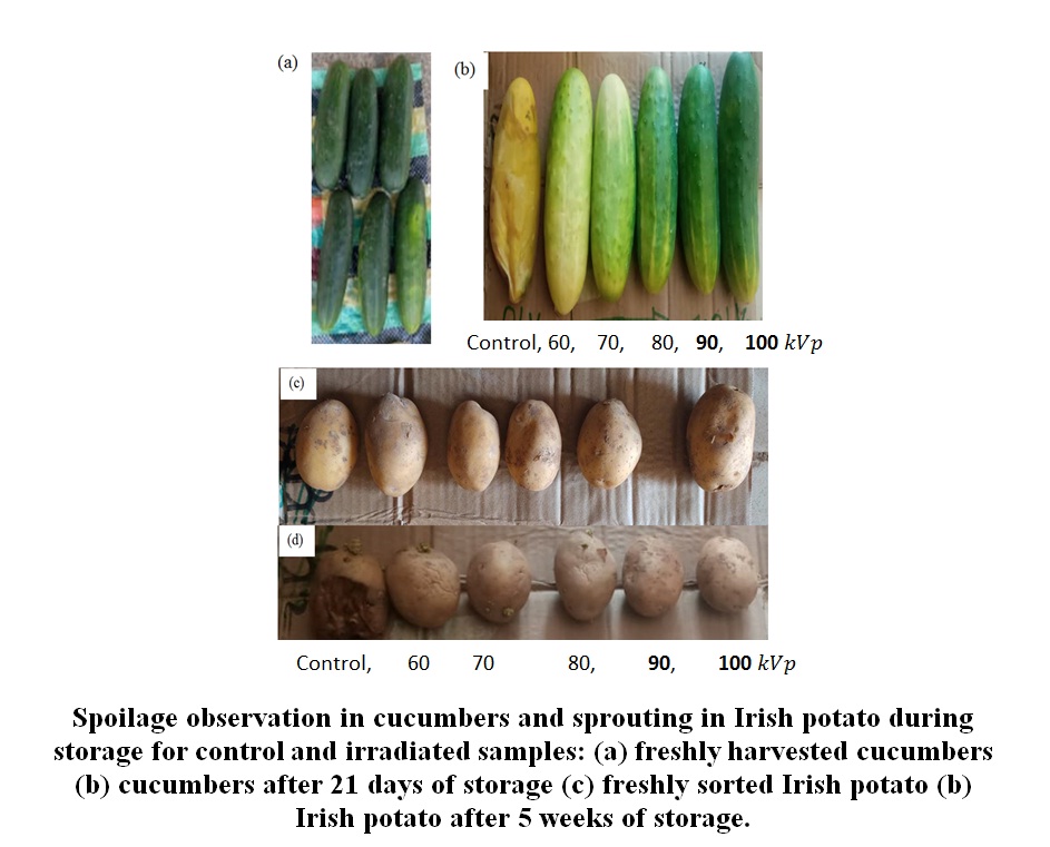 Postharvest shelf life extension of Cucumber (Cucumis sativus) and Irish potato 