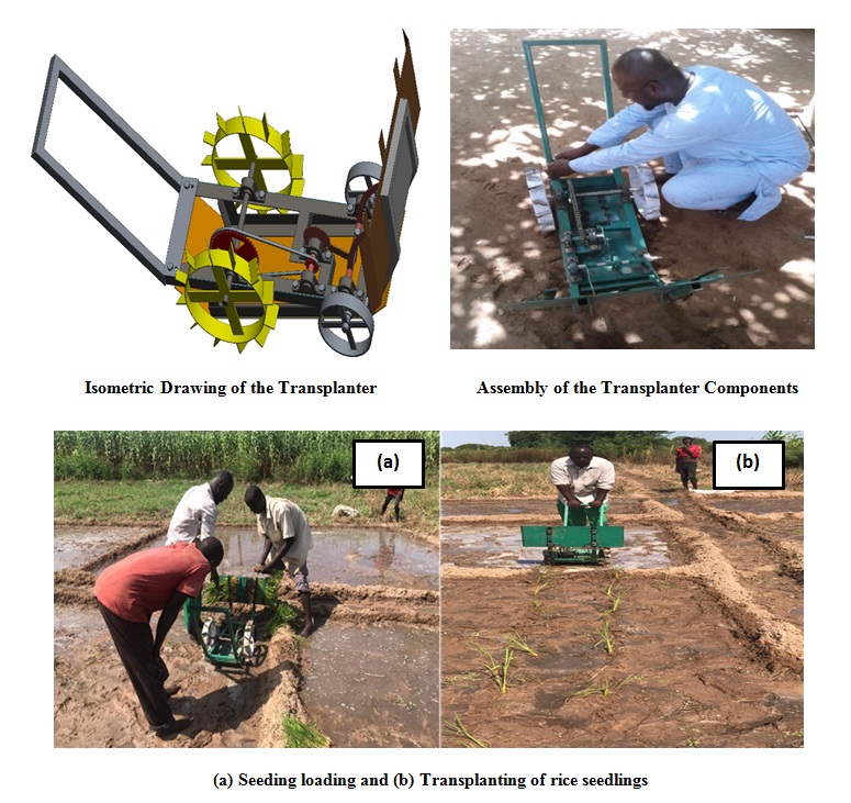 Development of a two-row manually operated rice transplanter for smallholder farmers in Nigeria