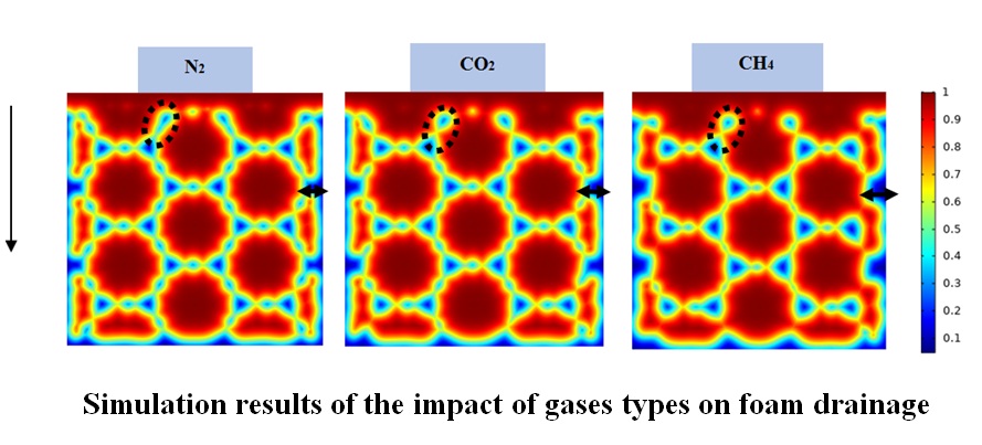 Simulation results of the impact of gases types on foam drainage